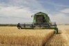 Понад чотири мільйони тонн зернових зібрали сільгоспвиробники Чернігівщини
