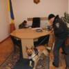 Інформація про замінування облдержадміністрації в Чернігові не підтвердилася