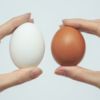Які курячі яйця купувати – білі чи коричневі?