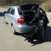 Поліцейські кінологи допомагають обстежувати транзитний автотранспорт