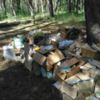 Поліція виявила звалище медичних відходів