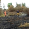 Вогнеборці ліквідовують наслідки загоряння торфу