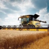 На Чернігівщині намолотили більше двох мільйонів тонн зерна