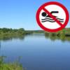 У зв’язку зі станом води чернігівцям тимчасово не рекомендується купатися в Стрижні