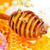 Властивості та види меду