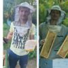 Повний цикл переробки меду організував бджоляр із Чернігівщини