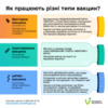Які ризики та ефективність вакцин проти коронавірусу? ПОЯСНЮЄМО