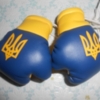 На Ічнянщині спортсменка отримала звання «Майстер спорту України із боксу»