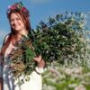Українська селекція на Сонячній землі Чернігівщини