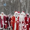 У Чернігові відбувся парад Дідів Морозів. ФОТОрепортаж