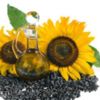 Цікаві факти про соняшник та насіння