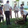 Довгоочікуваний водопровід у Сосниці буде