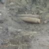 Піротехніки ДСНС знищили 2 артилерійські снаряди