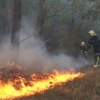 Вогнеборці ліквідували 2 пожежі настилу в лісі та 9 пожеж у екологічних системах