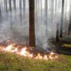 За добу рятувальники ліквідували 6 пожеж, що виникли від необережного поводження з вогнем