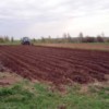 Службові особи завдали збитків державі більш ніж на 6 мільйонів гривень
