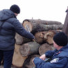 Поліцією задокументовано два факти перевезення нелегального лісу