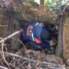 Рятувальники надали допомогу тварині, яка впала у каналізаційну яму