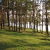 Хто заробляє на Ялівщині?