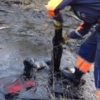 З канави із залишками мазуту рятувальники звільнили собаку. ФОТО