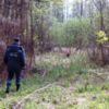 Коропський район: тривають пошуки зниклої бабусі
