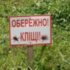 На хворобу Лайма захворіло 13 жителів Менщини