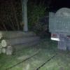 СБУ викрито факт розкрадання лісових ресурсів