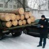 Поліція затримала групу лісорубів-браконьєрів