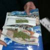 Патрульні виявили у водія речовину, схожу на коноплі