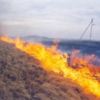 З початку березня вогнеборці ліквідували понад 120 пожеж у природних екологічних системах