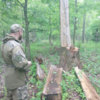 Мобільна група поліції разом із громадськими активістами бореться із незаконними вирубками лісу на Чернігівщині