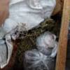 Правоохоронці зупинили водія, який порушив правила дорожнього руху, а при огляді у порушника виявили наркотичні засоби