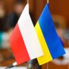 Наталія Романова: польський досвід допоможе нам уникнути багатьох помилок
