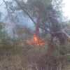 Вогнеборці Чернігівщини ліквідували загоряння настилу в лісі, а також 2 пожежі у природних екологічних системах