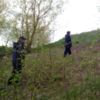 У лісі під час збирання грибів зник чоловік, тривають пошуки