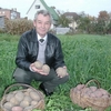 Небезпечна картопля