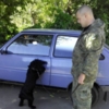Поліцейський пес Марс знаходить зброю навіть у найпотаємніших місцях