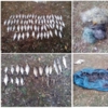 За вересень порушники завдали збитків на 90 тис. грн., – Чернігівський рибоохоронний патруль