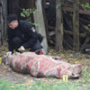Чернігівська поліція встановила як тіло жінки, замотане у килим, опинилося у дворі на Мстиславській