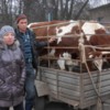 Тридцять п’ять багатодітних родин Чернігівщини отримали молочних годувальниць