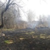 Упродовж минулої доби рятувальники ліквідували 10 пожеж у природних екосистемах