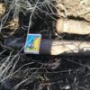 Піротехніки ДСНС знищили 2 артилерійських снаряди