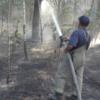 Вогнеборці ліквідували лісову пожежу біля селища Гончарівське