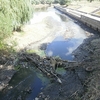 Чому заплава річки Стрижень забудовується за природоохоронні кошти?