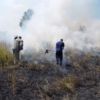 Упродовж минулої доби рятувальники ліквідували 5 пожеж у природних екосистемах