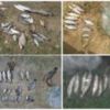 Чернігівський рибоохоронний патруль за тиждень викрив 17 порушень правил рибальства