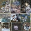 68 тис. грн. збитків за тиждень - наслідки браконьєрського лову на Чернігівщині