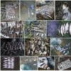 У жовтні 2018 року з водойм Чернігівщини в протизаконний спосіб браконьєри вилучили майже півтонни риби