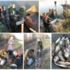 На Чернігівщині відбувся другий етап зариблення річки Десна
