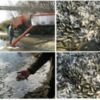 До водойм Чернігівщини у 2018 році вселено близько295 тис.екземплярів молоді риб